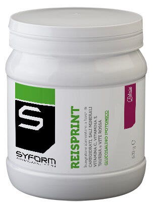 Syform Reisprint Berries 500g-2