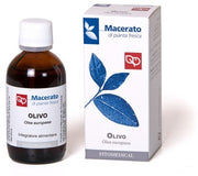 Olivo Tintura Madre Bio 50ml  - 1