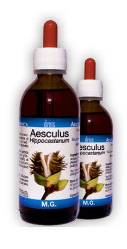 AESCULUS HIPPOCAST MG 50ML-1