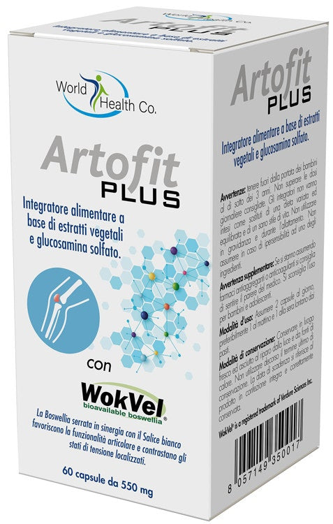 ARTOFIT PLUS 60CPS-1