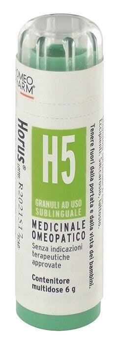 HORUS H5 GR-2