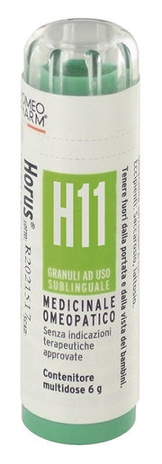 HORUS H11 GR-1