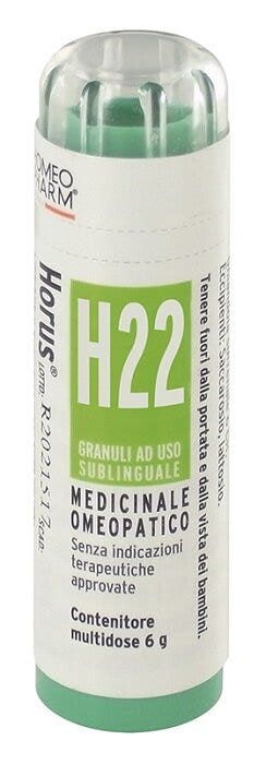 HORUS H22 GR-2