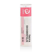 THUYA OCCIDENT 35K GR-1