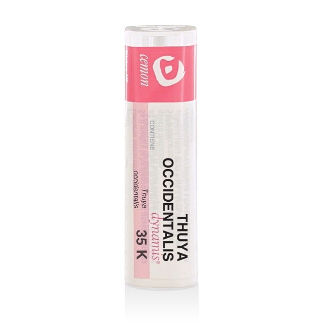 THUYA OCCIDENT 35K GR-1