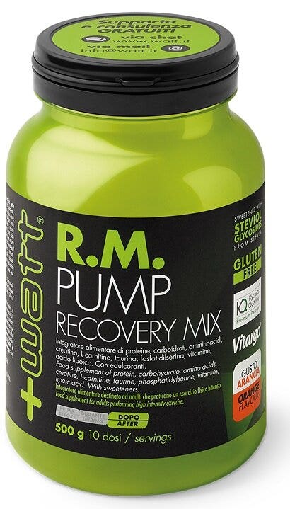 RM PUMP RECOVERY MIX ARA 500G-2