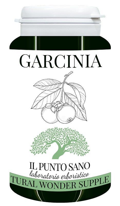 GARCINIA 90CPS-2