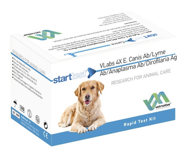 VetMotive Start Test Vlabs 4x (Canis Ab Lyme Ab Anaplasma Ab Dirofilaria Ag) 5 Kit Test-1