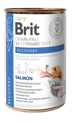 BVD DOG/CAT RECOVERY 400G-1