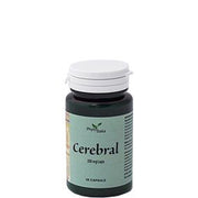 CEREBRAL AYURVED 60CPS-1