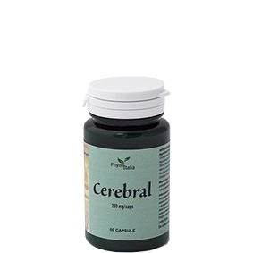CEREBRAL AYURVED 60CPS-1