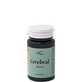 CEREBRAL AYURVED 60CPS-2