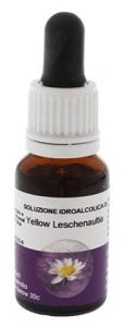 YELLOW LESCHENAULTIA 15ML AUST-1