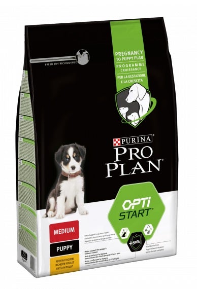 PP DD M PUP HEALTHY 12KG-1