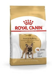 BHN FRENCH BULLDOG AD 9KG-1
