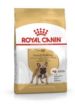 BHN FRENCH BULLDOG AD 9KG-1