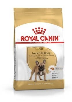 BHN FRENCH BULLDOG AD 9KG-2