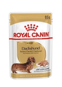 Royal Canin Dachshund Adult Wet Umido Per Bassotti Adulti/Maturi Bustina 85g-1