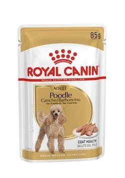 BHN WET POODLE 85G-1