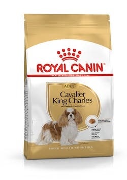 BREED HN CAVALIER KING C 7,5KG-1
