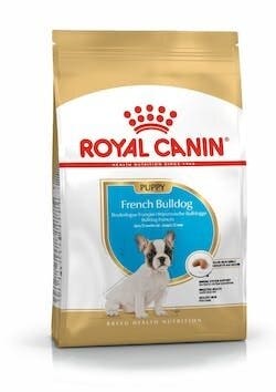 BREED HN FRENCH BULLDOG J 3KG-2