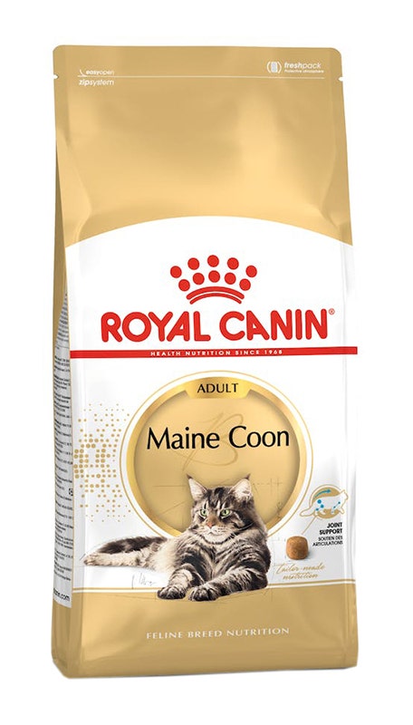 FELINE BN MAINE COON AD 31 4KG-1