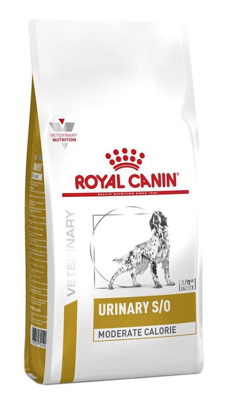 VETERINARY DC DRY URIN MOD 6,5-2