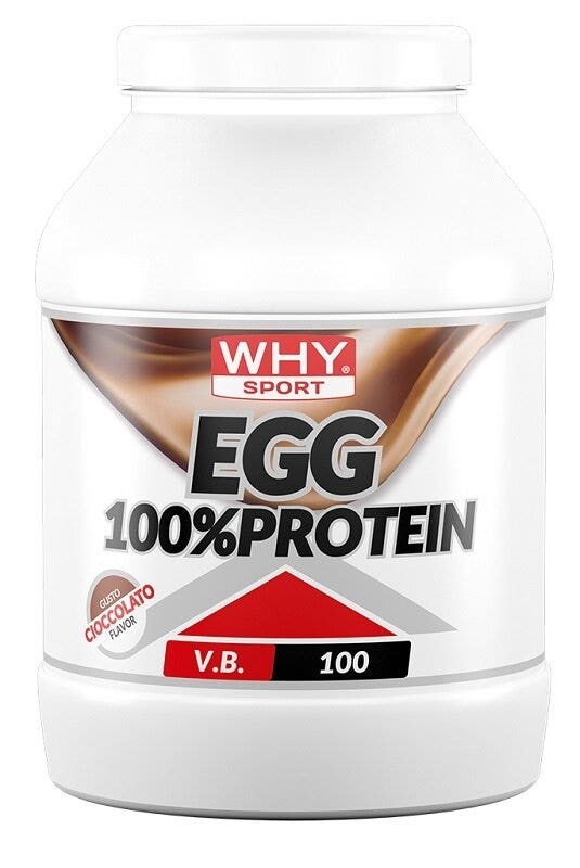 Whysport Egg 100% Protein Cioccolato 750g-2