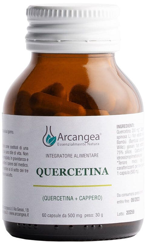 QUERCETINA 60CPS 500MG-1