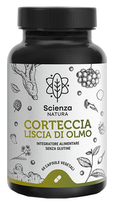 CORTECCIA LISCIA DI OLMO 60CPS-1