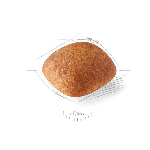 Royal Canin Crocchette Per Cani Golden Retriever Adulti Sacco 12 kg-2