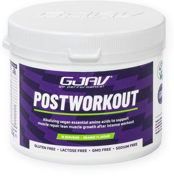 GJAV POSTWORKOUT ARANCIA 560G-1