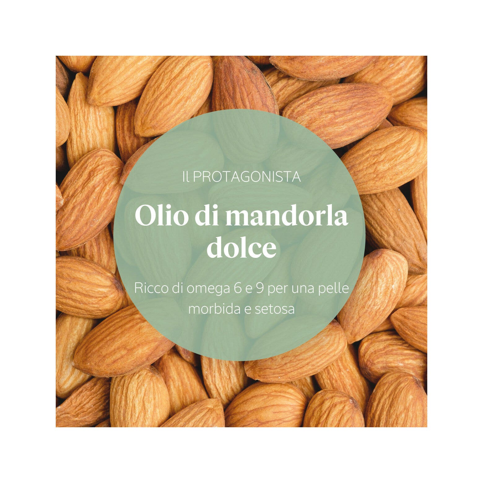 L'Occitane Concentrato Latte Mandorla 200ml-6