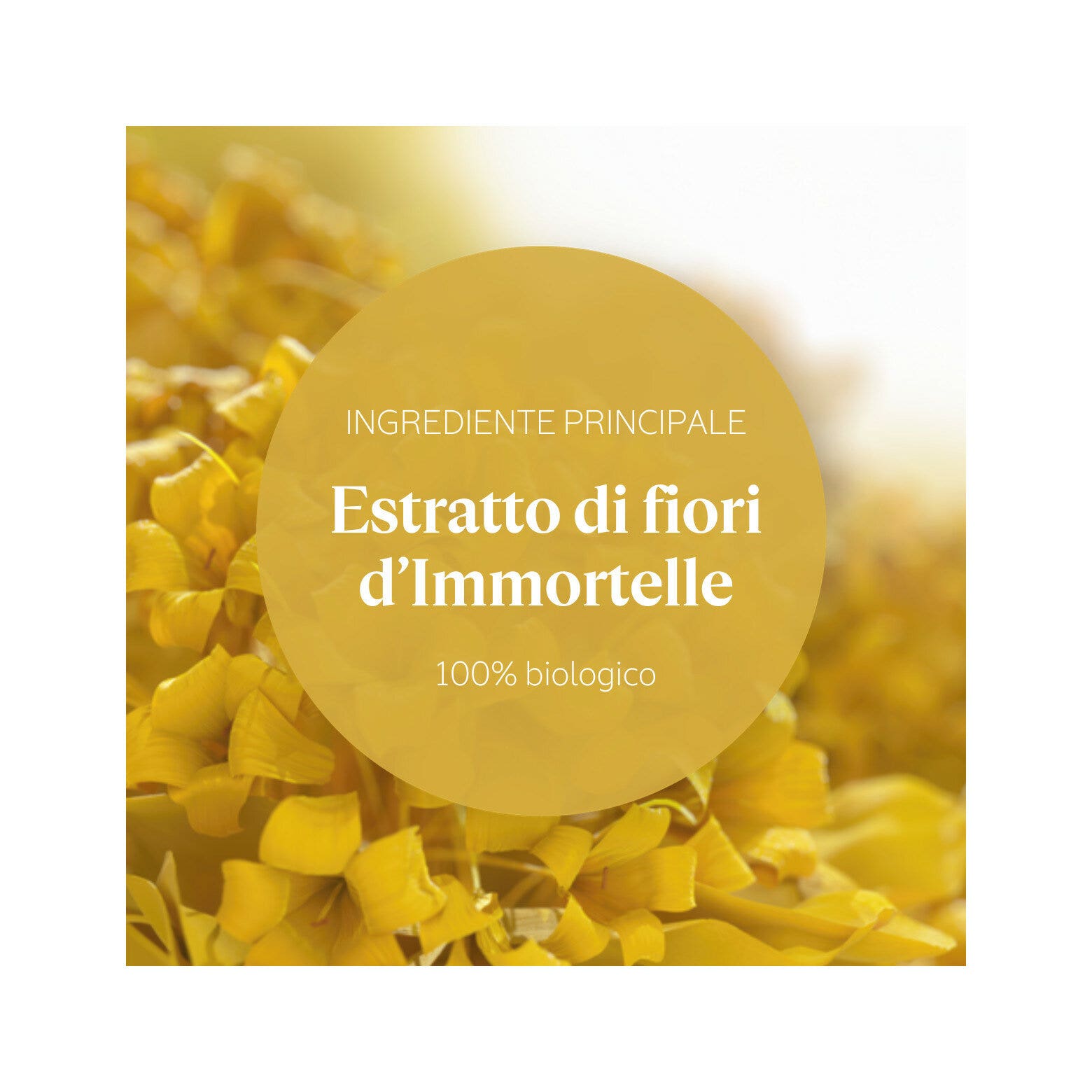 L'Occitane Immortelle Divine Crema Mani 75ml-4