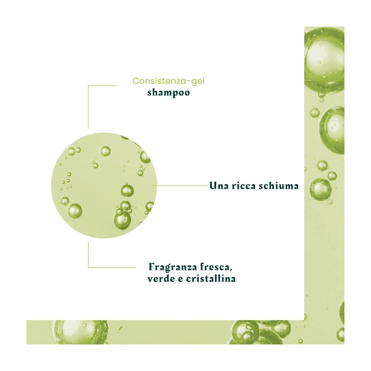 Rene Furterer Volumea Shampoo Volumizzante Capelli Sottili Senza Volume 200ml-8