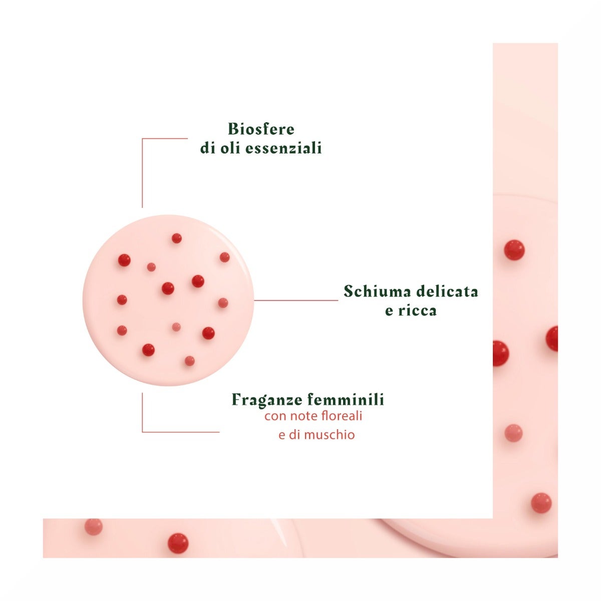 Rene Furterer Tonucia Shampoo Rimpolpante Districante Capelli Devitalizzati/Affaticati 200ml-7