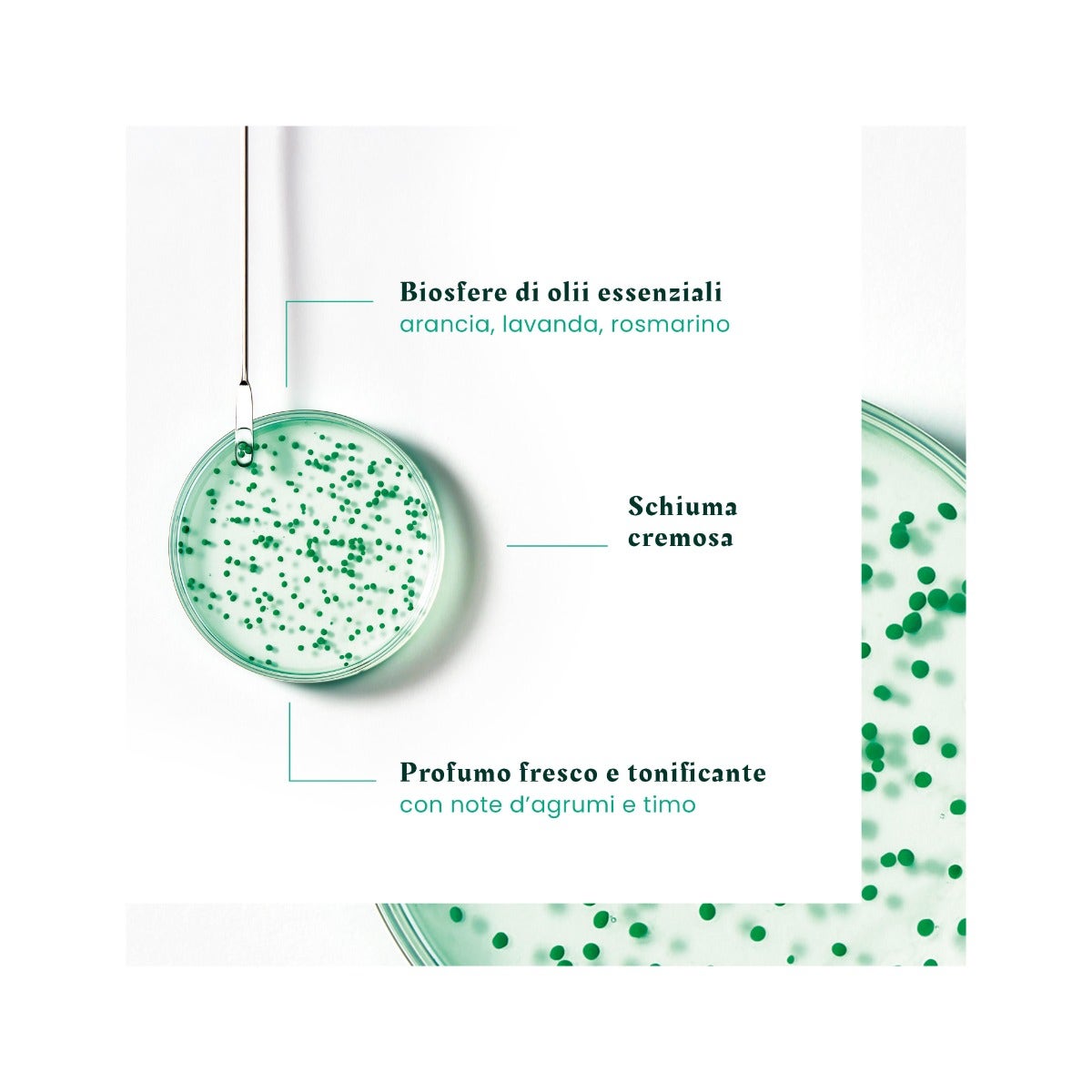 René Furterer Forticea Shampoo Fortificante Rivitalizzante 200ml-4