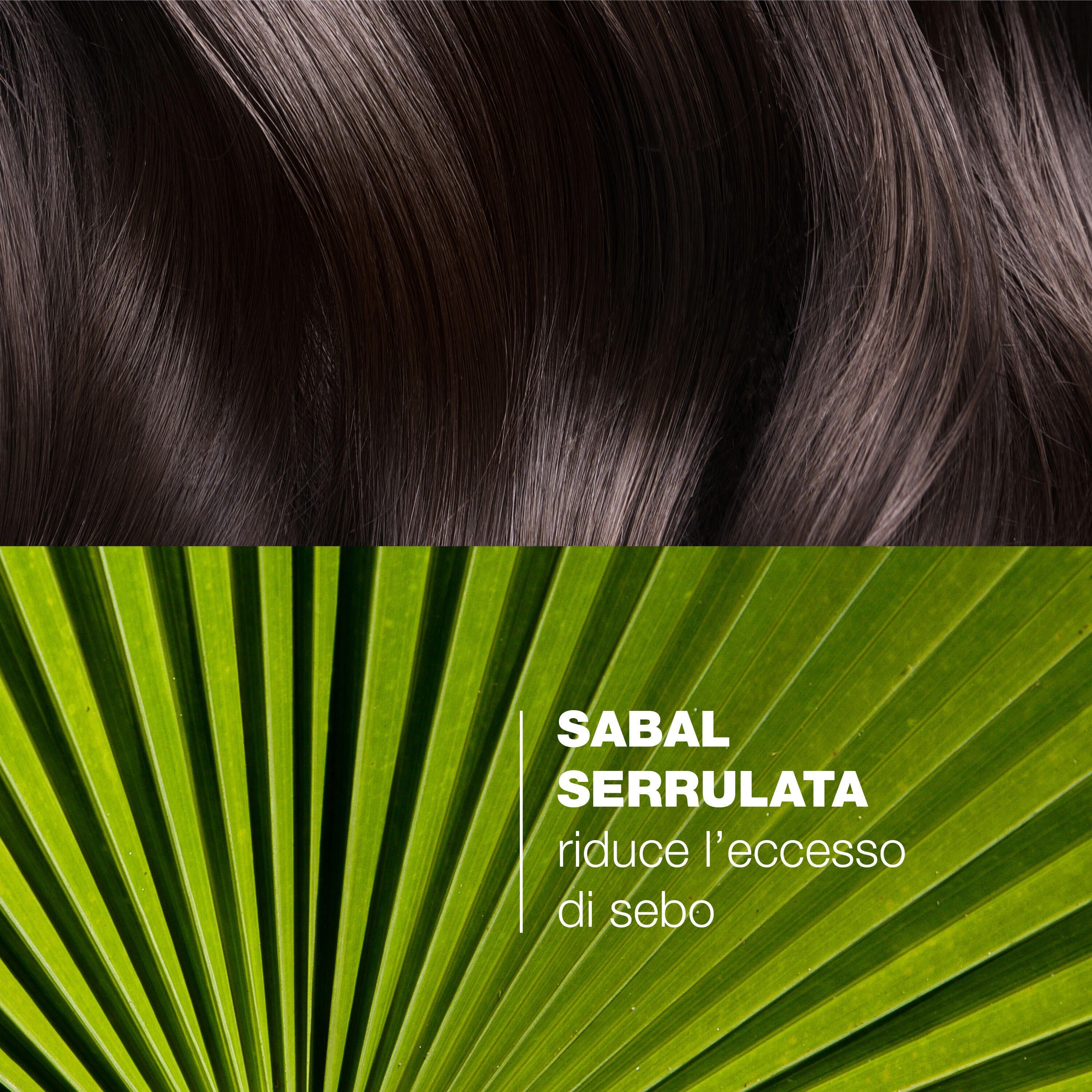 Ducray Sabal Shampoo Trattante Seboriduttore 200ml