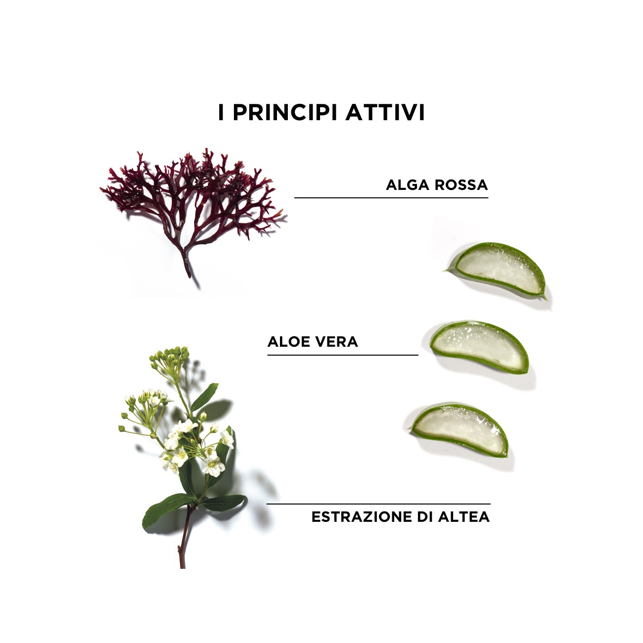 Phyto Phytodefrisant Trattamento Ritocco Anti-Crespo Per Capelli Crespi 50ml-4