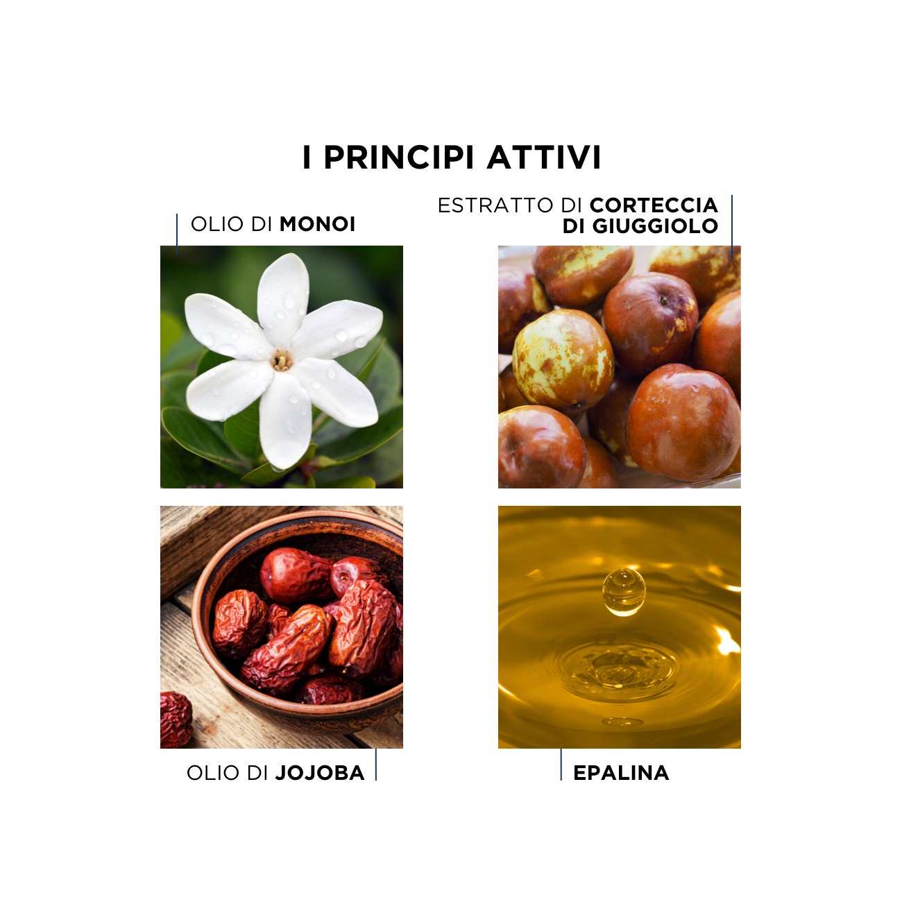 Phyto Phytocolor 9.8 Biondo Chiarissimo Cenere Colorazione Permanente Per Capelli -4