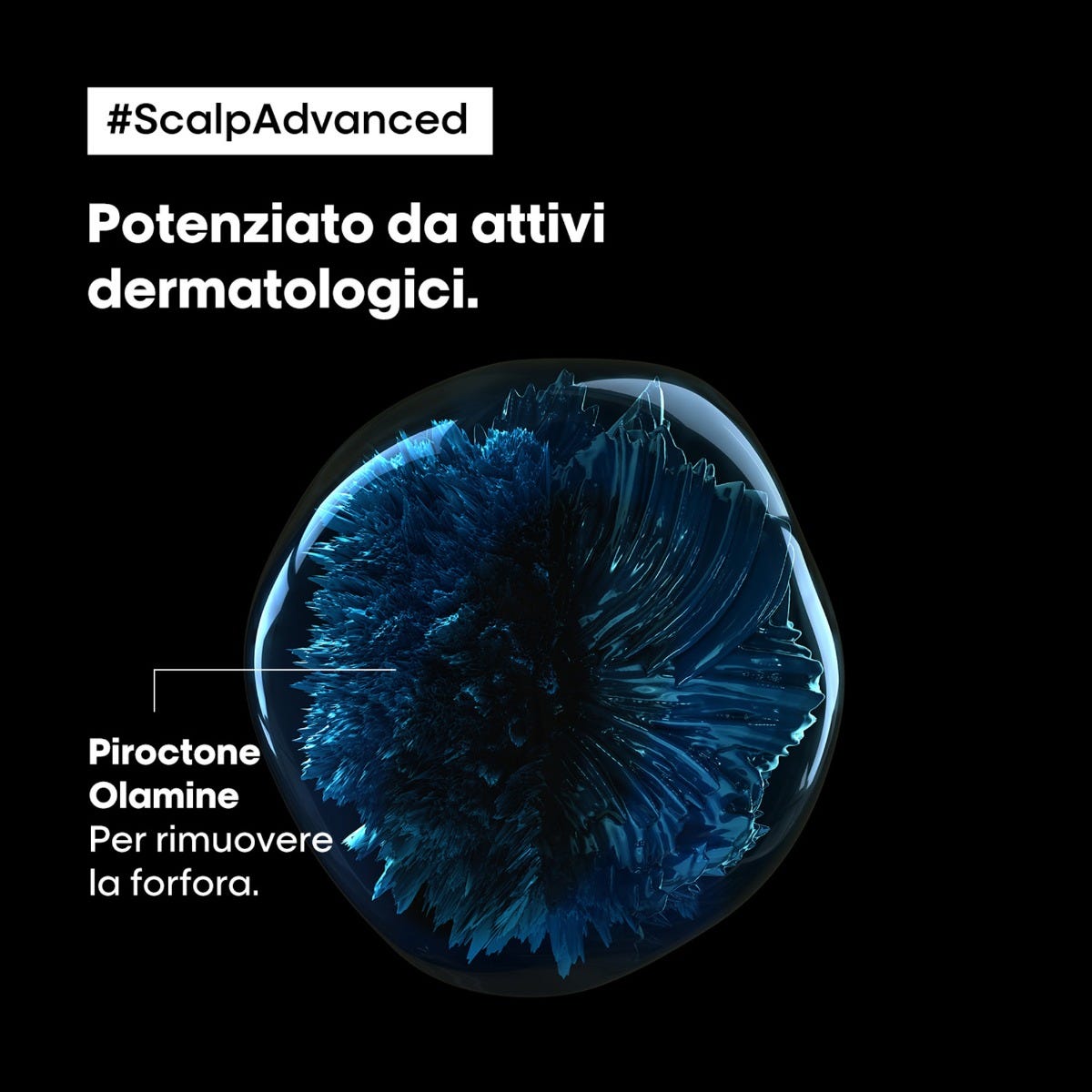 LP SE Scalp A-Dndrf Shp 500 R VB98