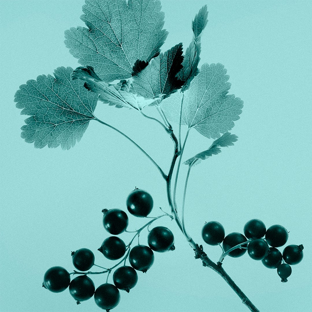 Tiffany & Co. Tiffany Sheer Eau De Toilette