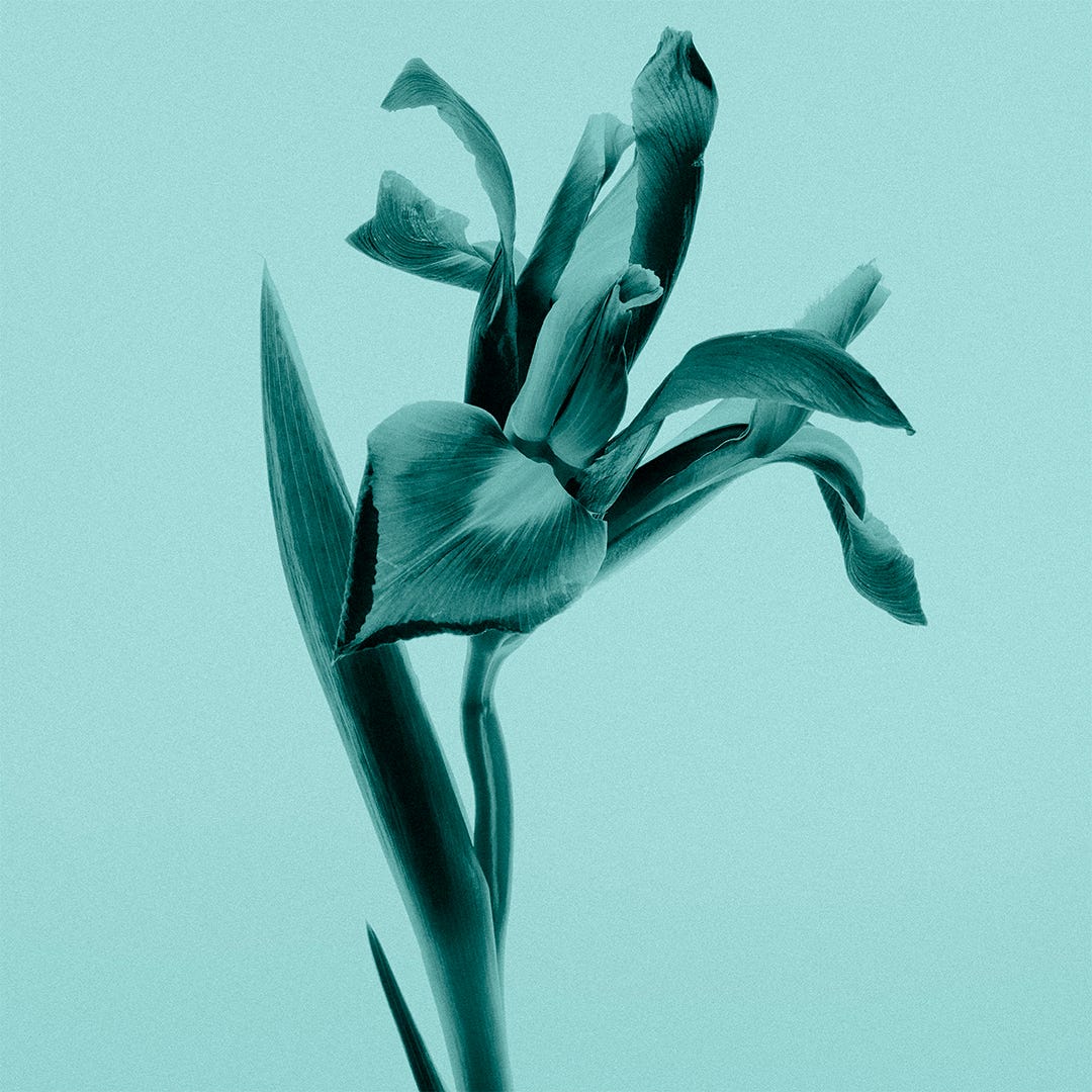 Tiffany & Co. Tiffany Sheer Eau De Toilette