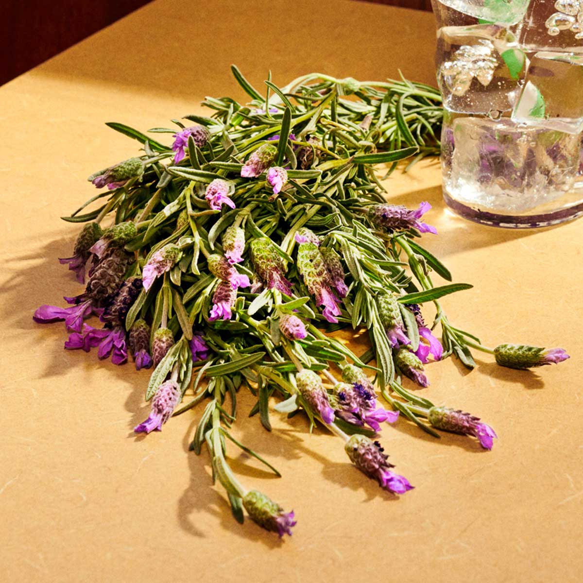 Guilty Parfum Pour Homme