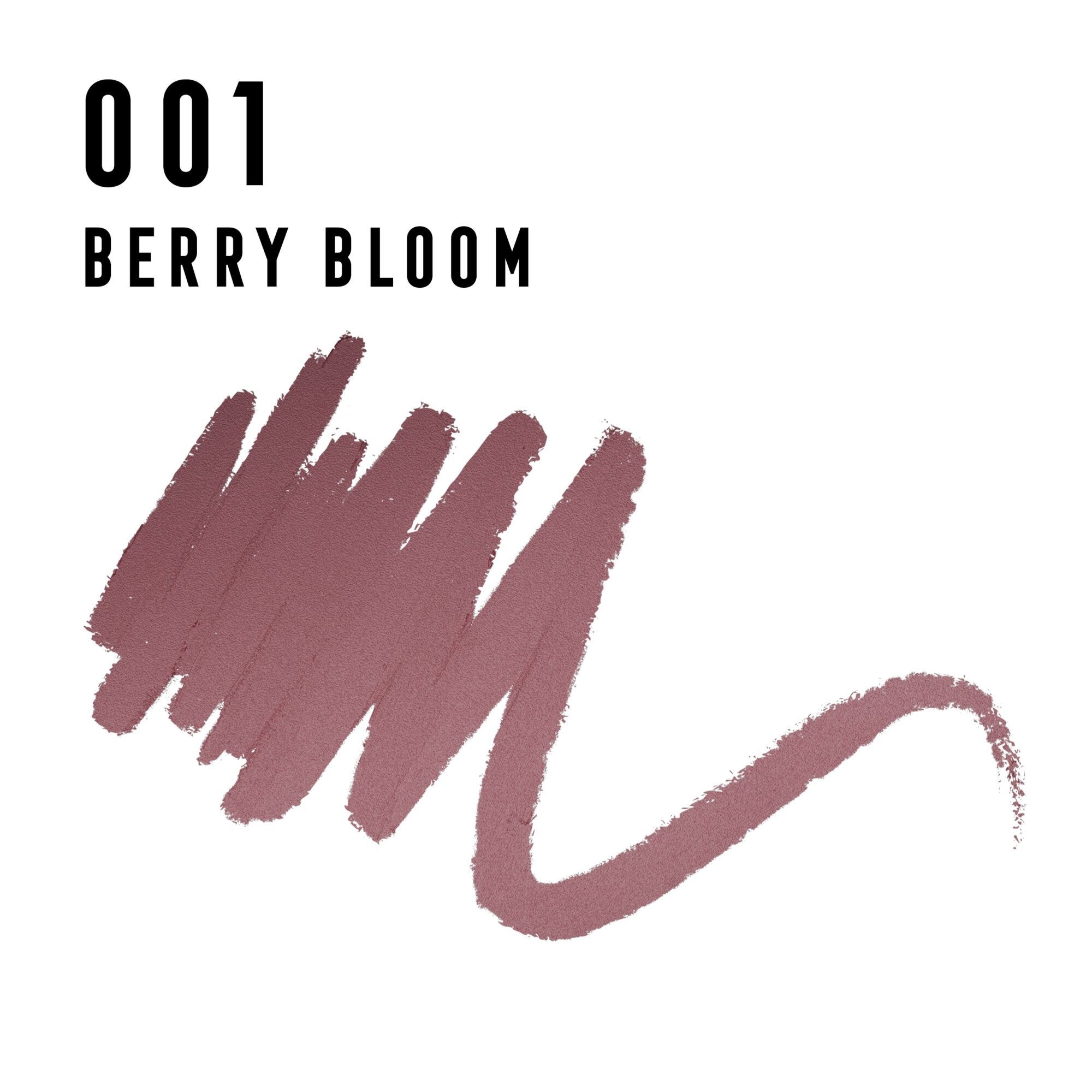 Max Factor Ombretto In Stick Priyanka 001 Berry Bloom-4
