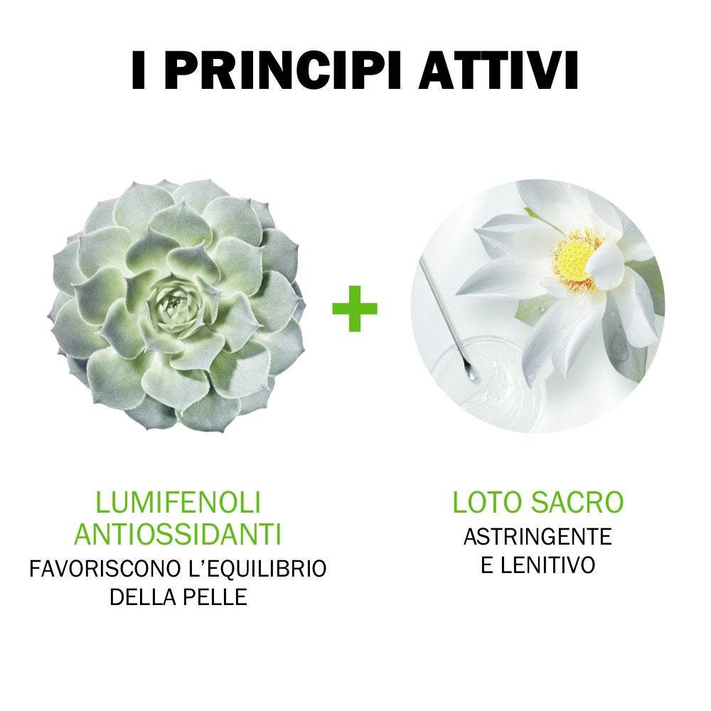 Jowae Maschera Argilla Purificante 50ml  - 5