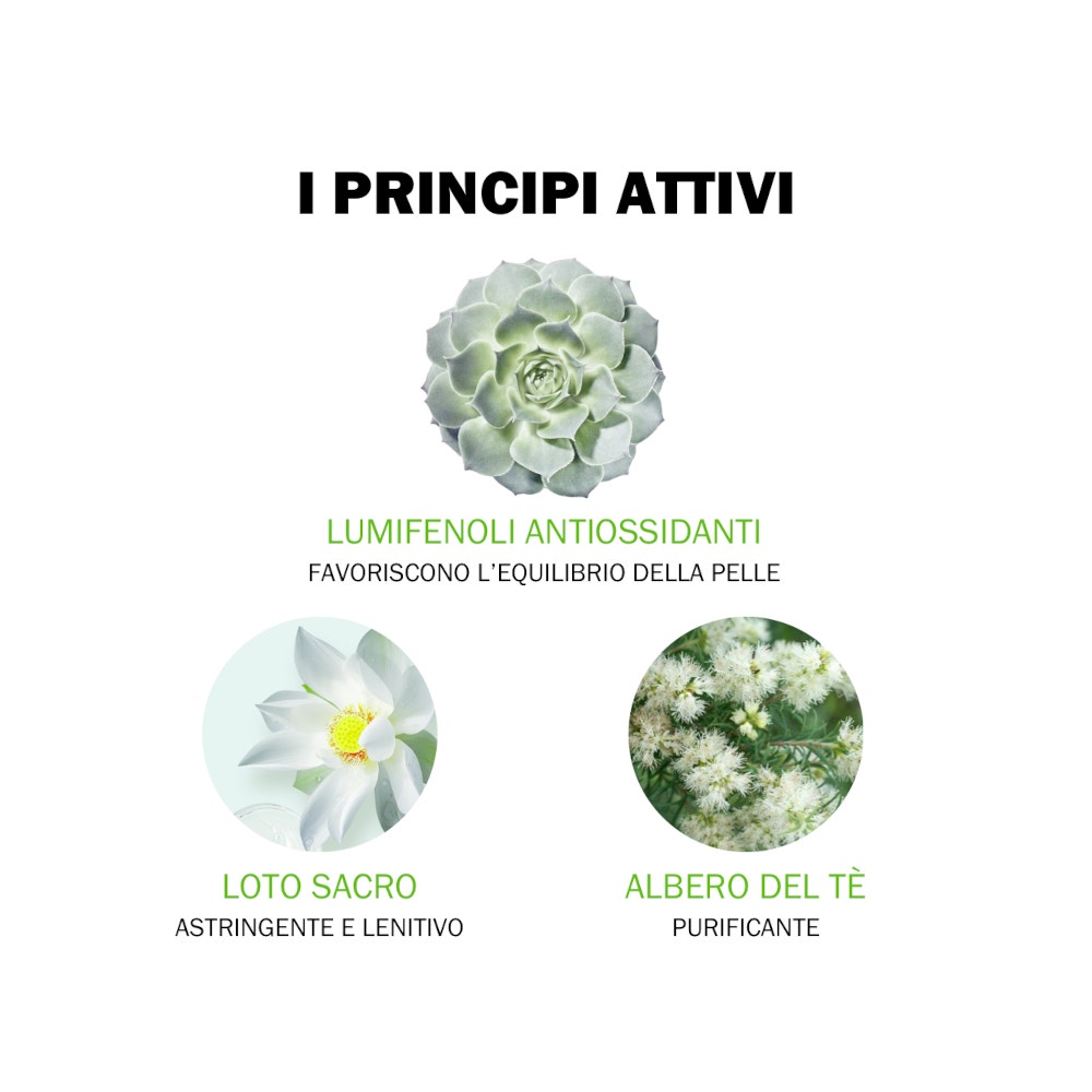 Jowaé Gel Sos Anti Imperfezioni Localizzate Viso 10ml-5