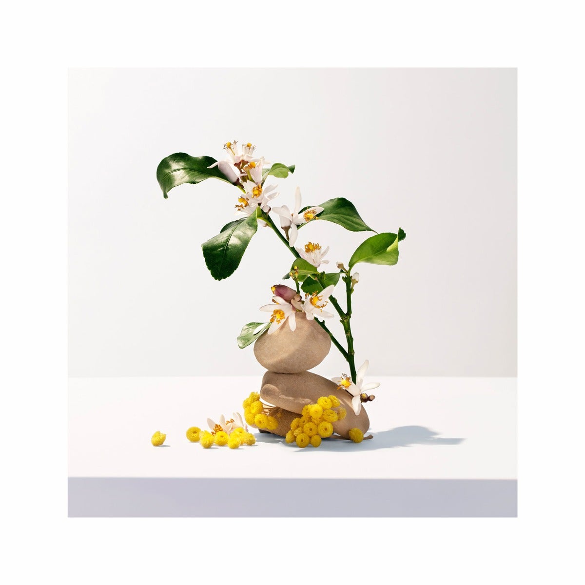 Roger & Gallet Neroli Acqua Profumata Di Benessere 100ml-3