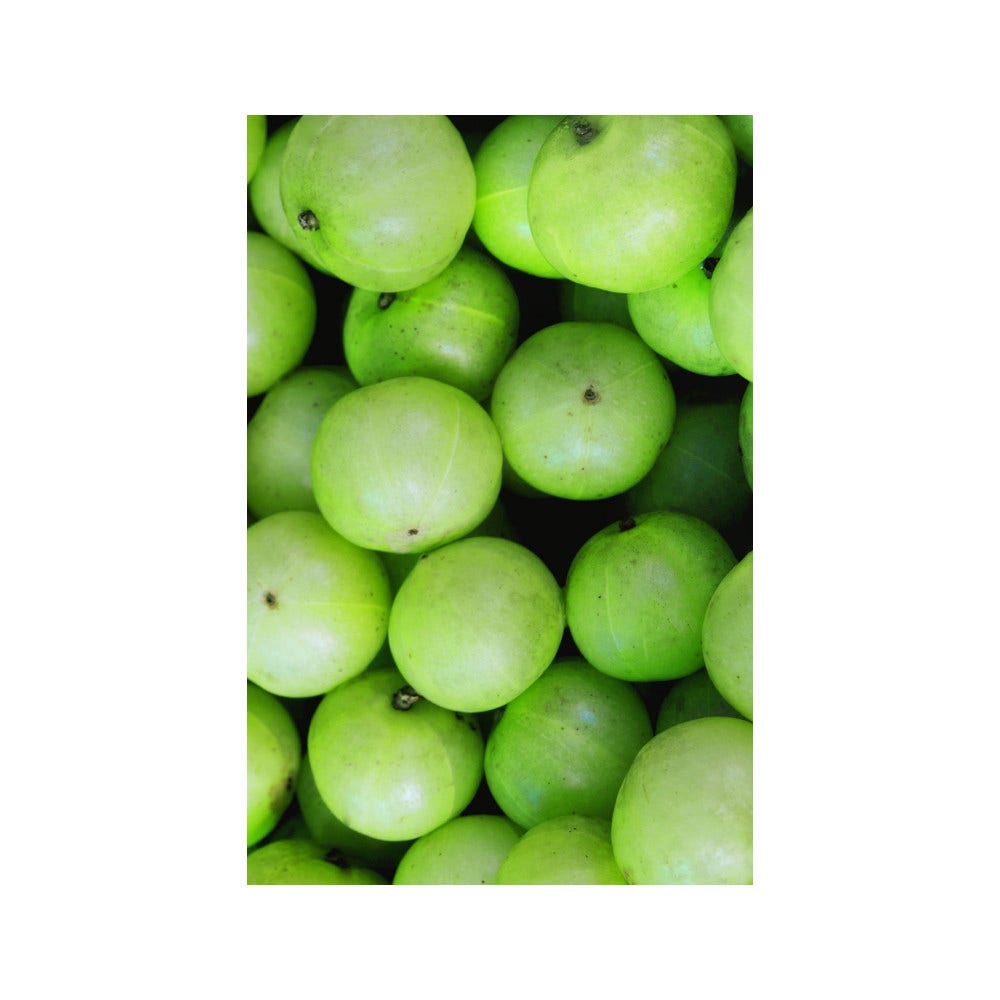 Khadi Maschera Detox Per Capelli 50g-4