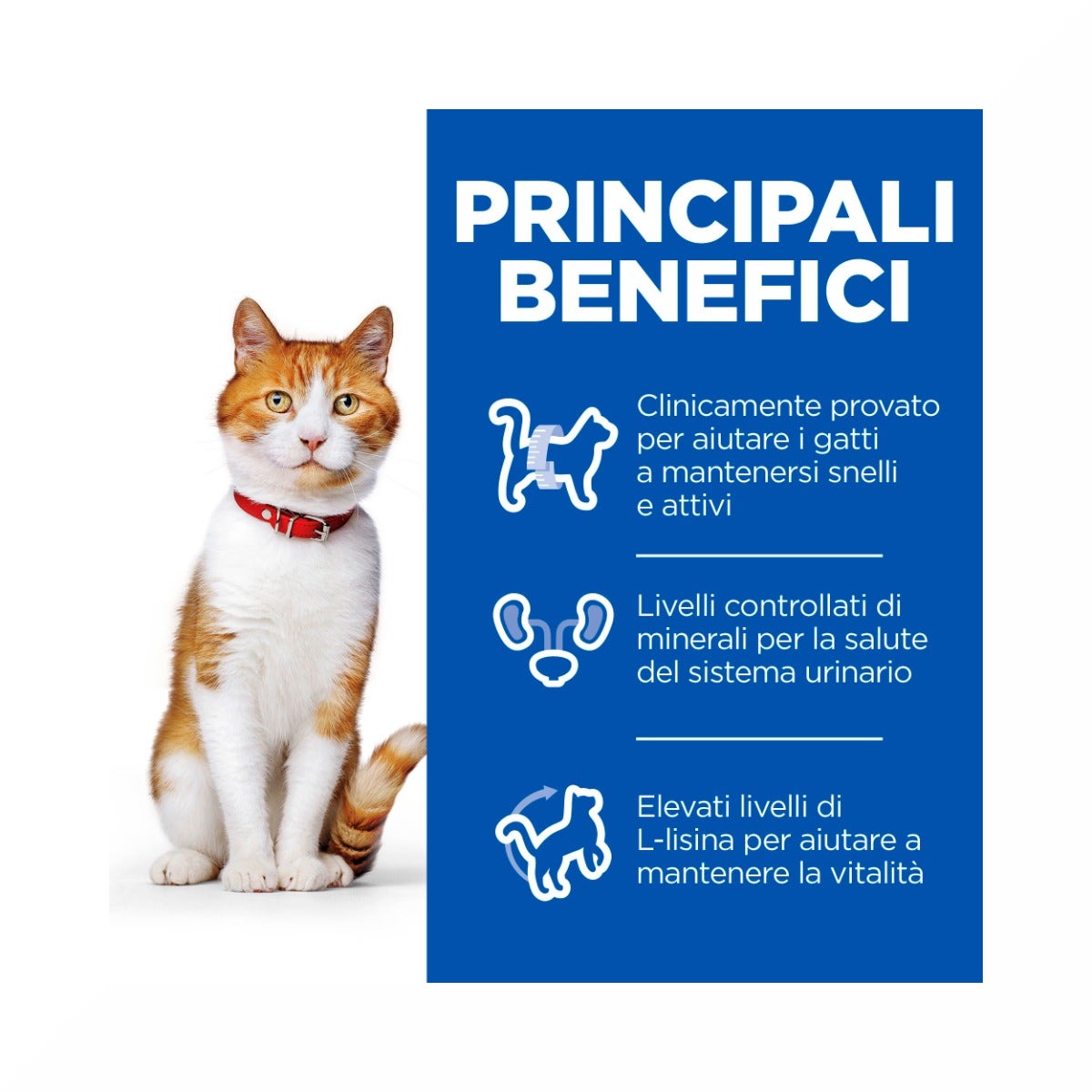 Hill's Science Plan Sterilised Cat Adult Crocchette Per Gatti Con Pollo 10 Kg-6